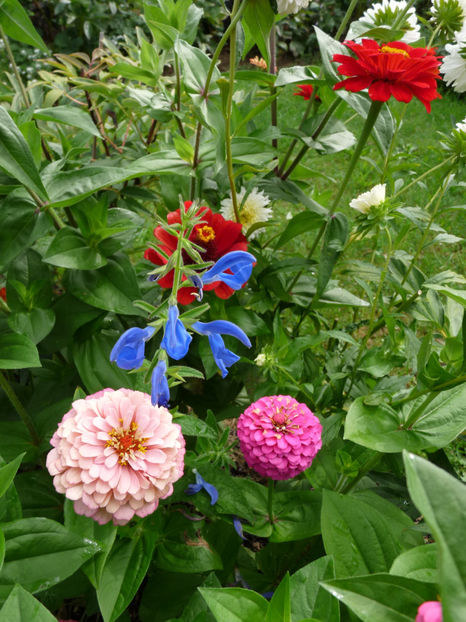  - 2017 - 03 - Toamna