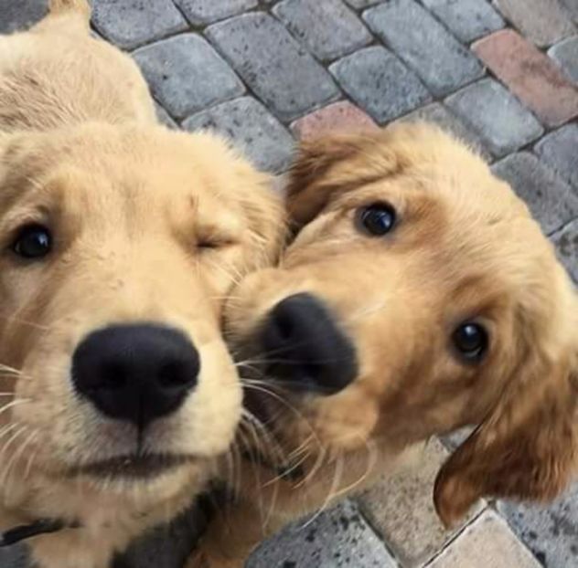  - Im gonna love u like Im gonna lose u