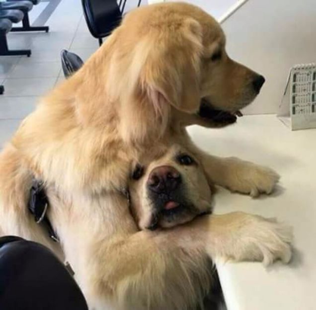  - Im gonna love u like Im gonna lose u