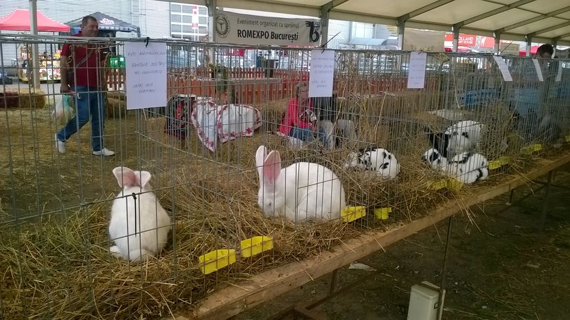  - Agromalim 2017