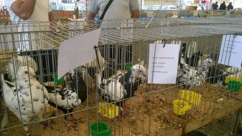  - Agromalim 2017