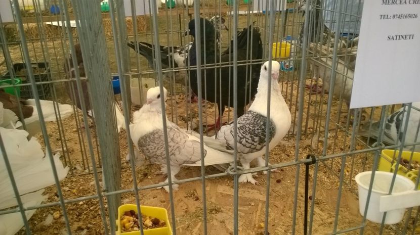  - Agromalim 2017