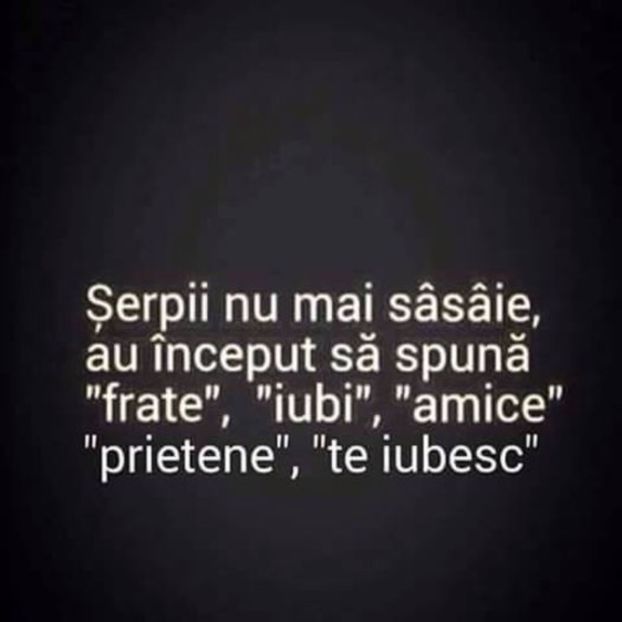 ....KING BOSS - FOR FRIENDS