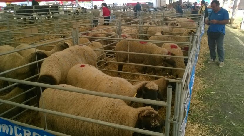  - Agromalim 2017