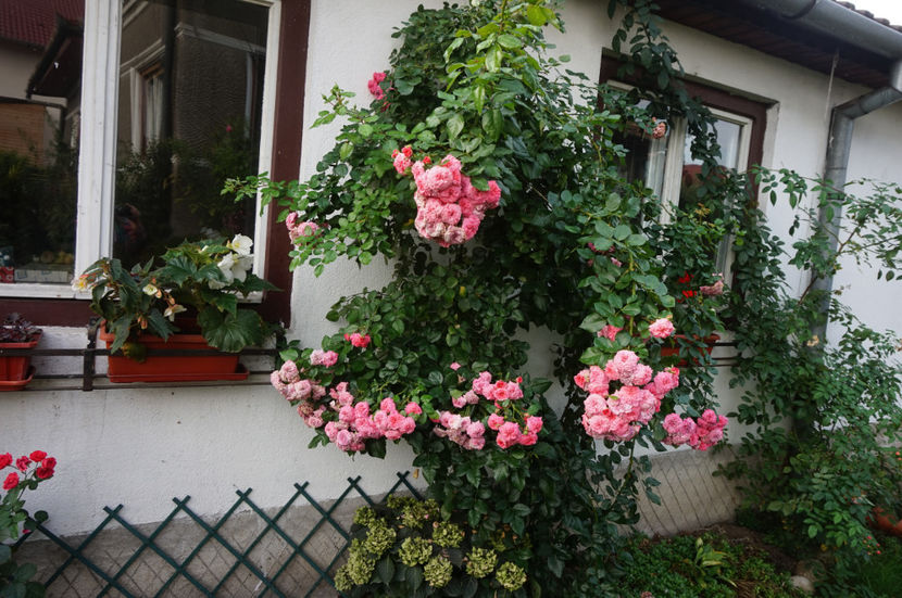  - Les Quatre Saisons