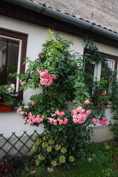  - Les Quatre Saisons