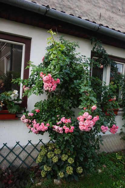  - Les Quatre Saisons