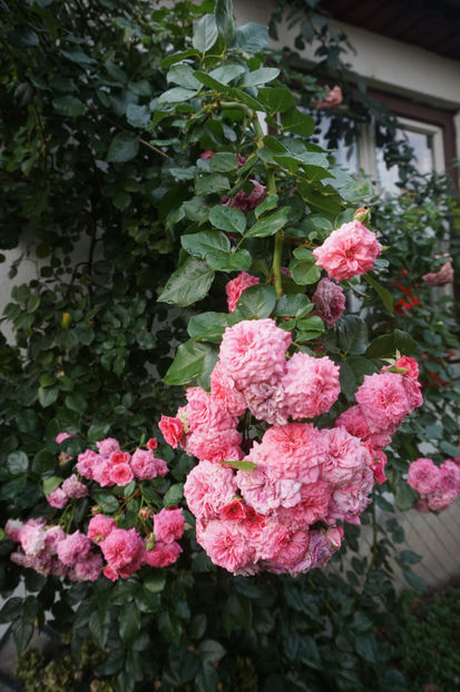  - Les Quatre Saisons