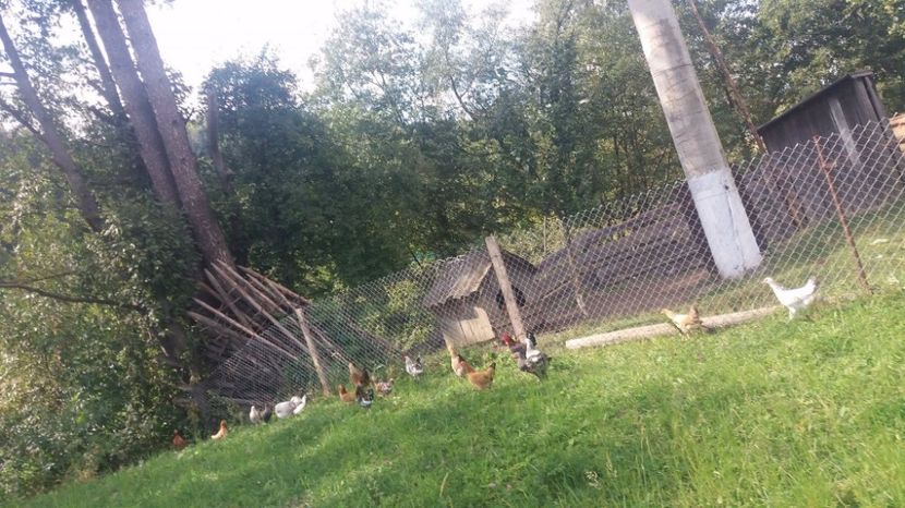 21390500_357547101334439_1959963775_o - F Gaini de tara si kabir