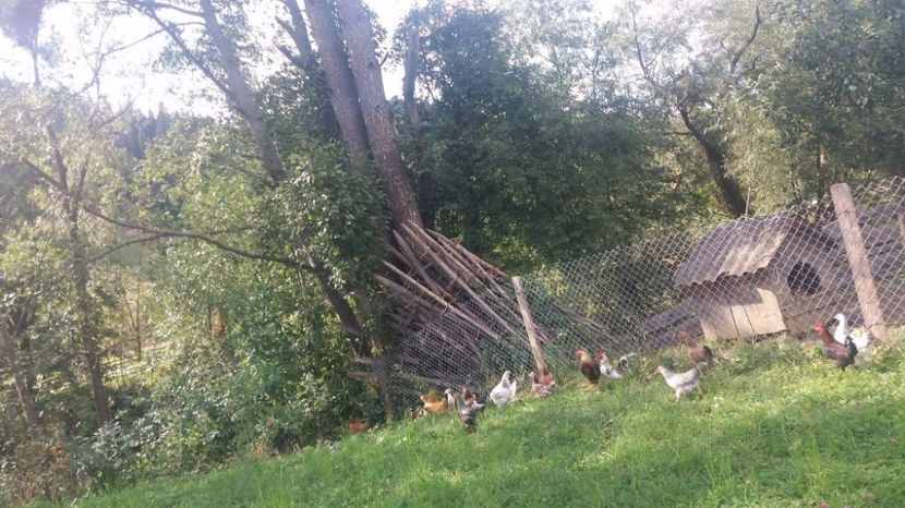 21390632_357547038001112_204990129_o - F Gaini de tara si kabir