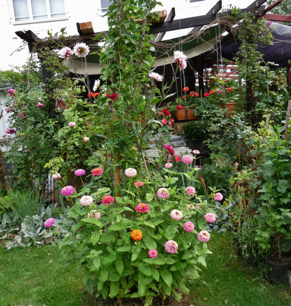  - 2017 - 03 - Toamna