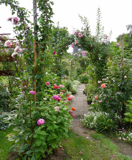  - 2017 - 03 - Toamna