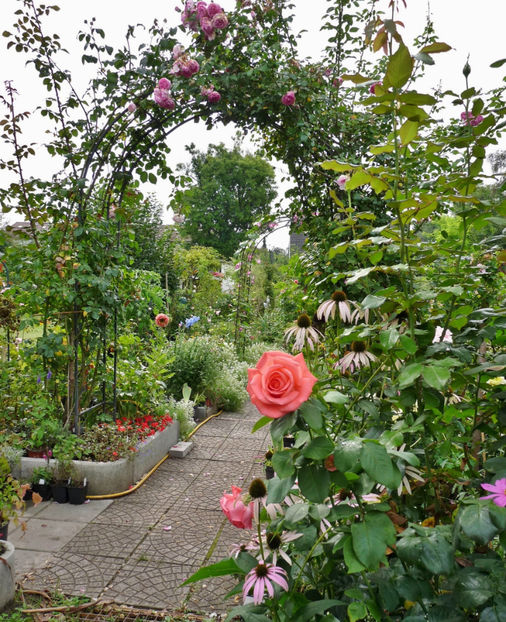  - 2017 - 03 - Toamna