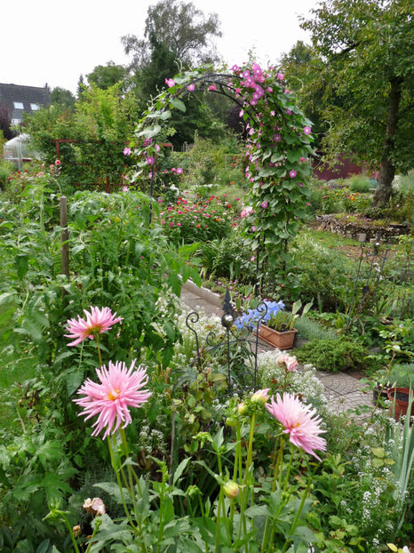  - 2017 - 03 - Toamna