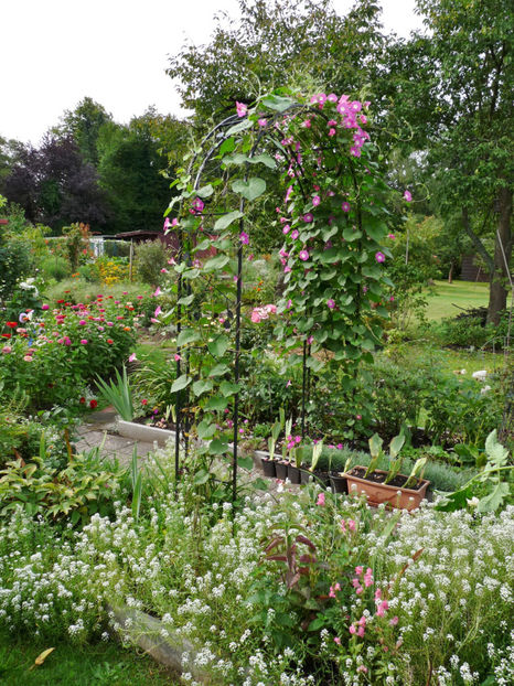  - 2017 - 03 - Toamna