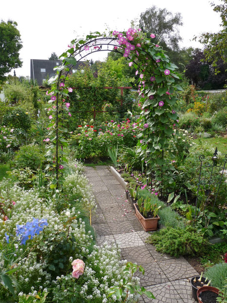  - 2017 - 03 - Toamna