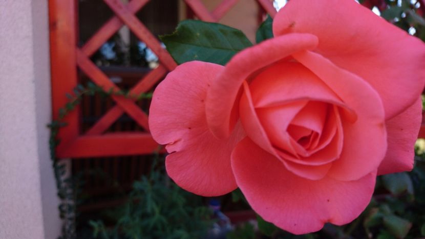  - Dee dee Bridgewater