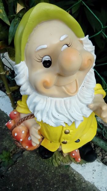 P_20170908_180741 - Ornamente si decoratiuni