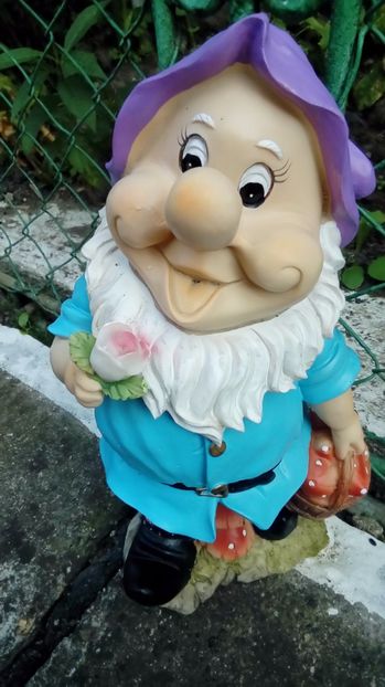 P_20170908_180850 - Ornamente si decoratiuni