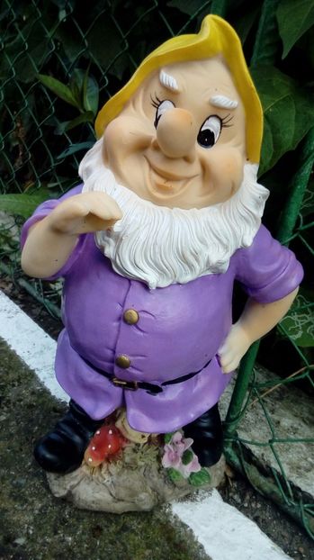 P_20170908_180953 - Ornamente si decoratiuni