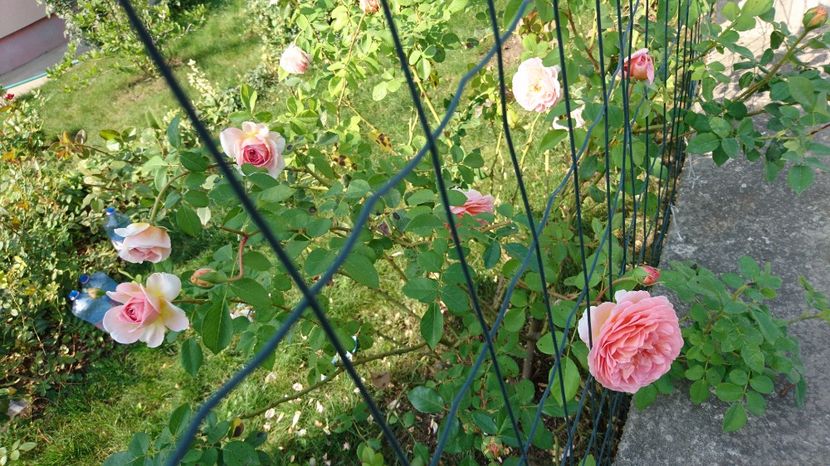  - Abraham Darby