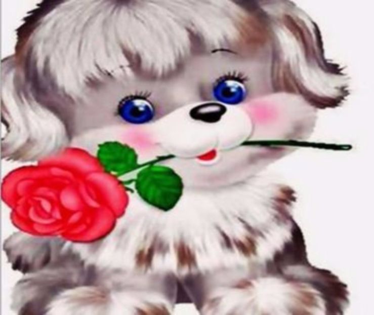  - 0 a poze care imi vor trebui - imp