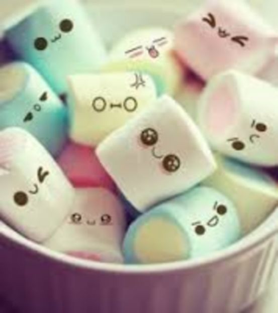  - The dog are preetyiest than you