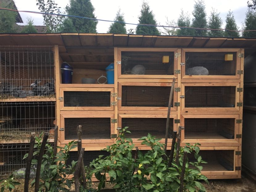  - 6 Noul penthouse al urecheatilor