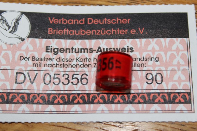 DV  2017 - INELE PENTRU SCHIMB csere gyuru