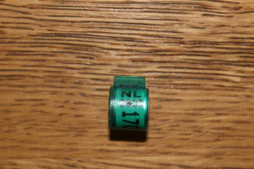 NL  2013 - INELE PENTRU SCHIMB csere gyuru