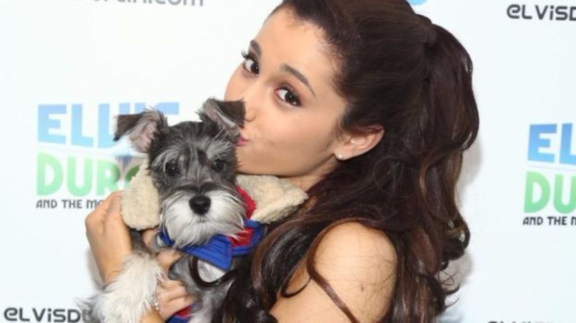 _96177005_3981ce84-ea3e-4295-9a68-5d6333b06f1e - ARIANA GRANDE