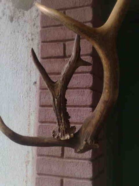 imitatie caramida - Rustic caramida-imitatie-piatra-lemn