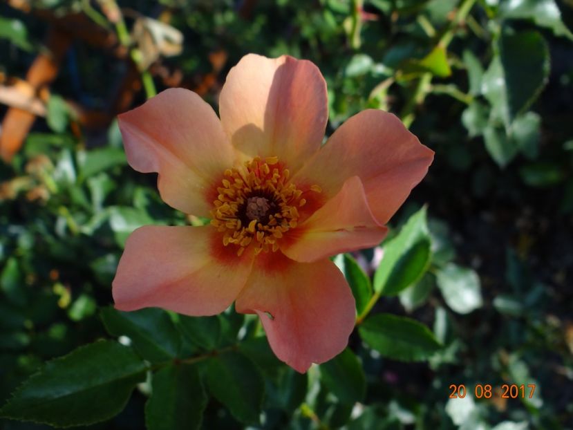  - For Your Eyes Only