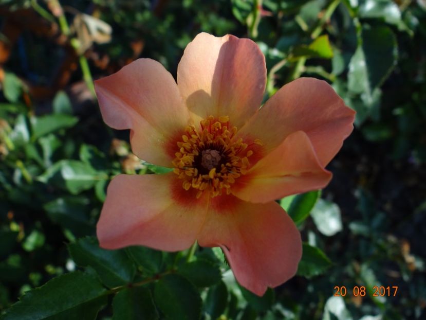  - For Your Eyes Only