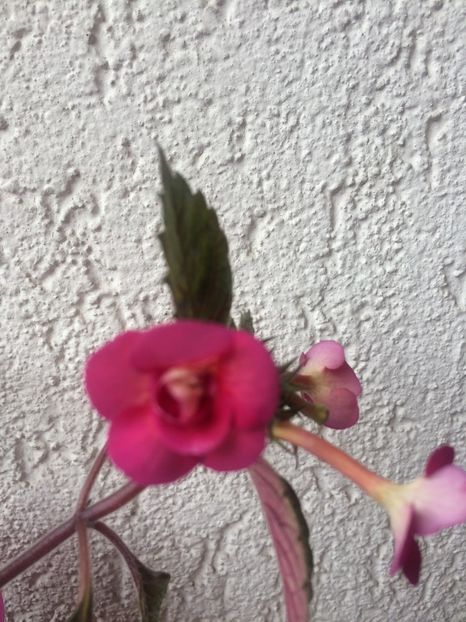 11.07.2017 - Hard to Get