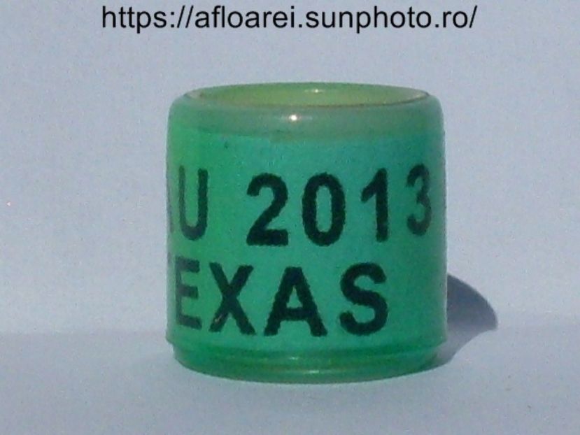 AU 2013 TEXAS - AMERICA