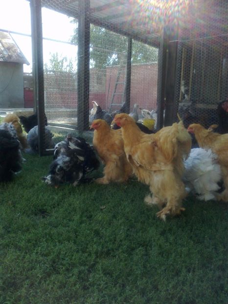 21272707_1626796374061940_8709381605429740145_o - Tineret 2017