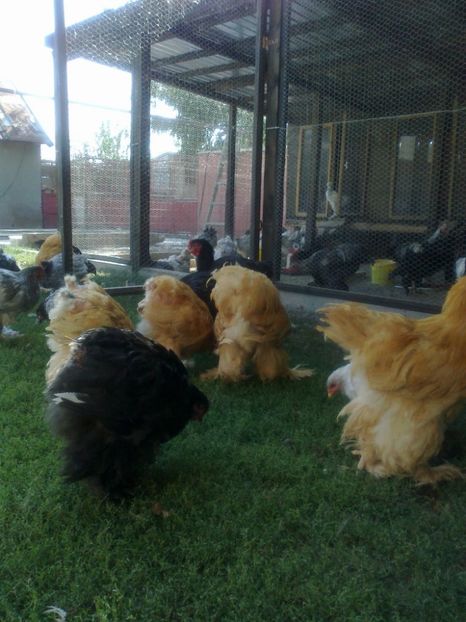 21318942_1626796300728614_3100294319044216776_o - Tineret 2017