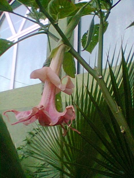 Fotogr.0567 - Septembrie 2017