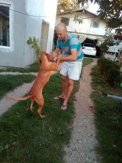 Sașa 6 luni-De VÂNZARE - Cateii mei