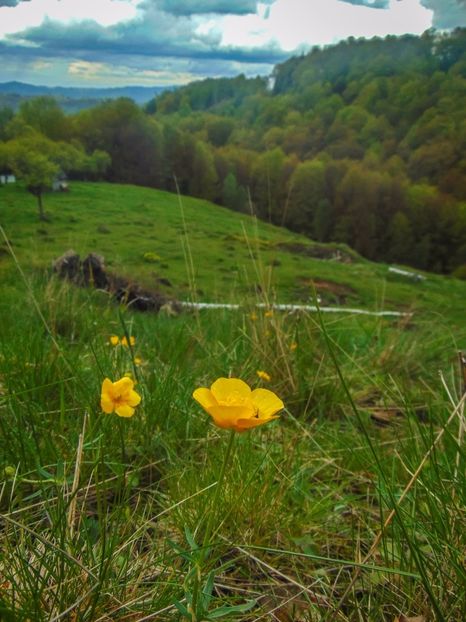  - Photo 03