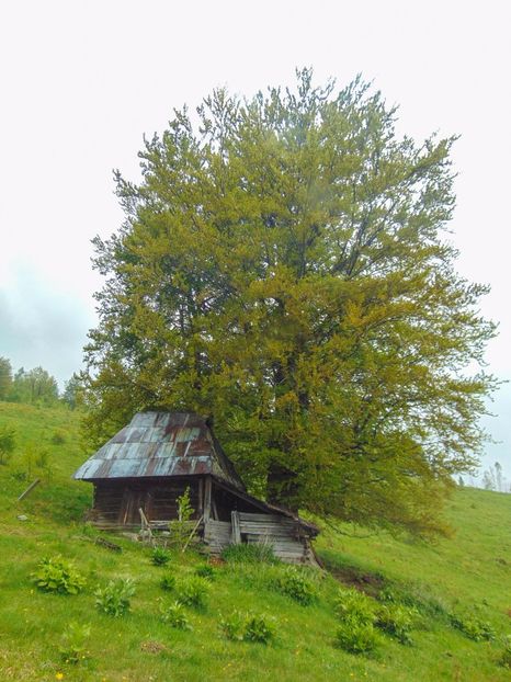  - Photo 03