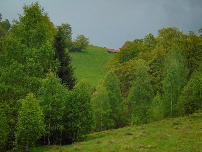  - Photo 03