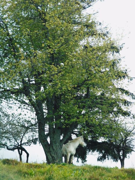  - Photo 03