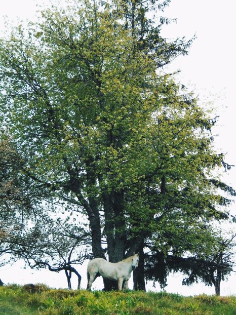  - Photo 03