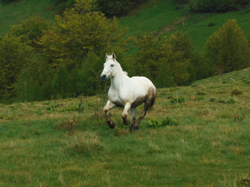  - Photo 03