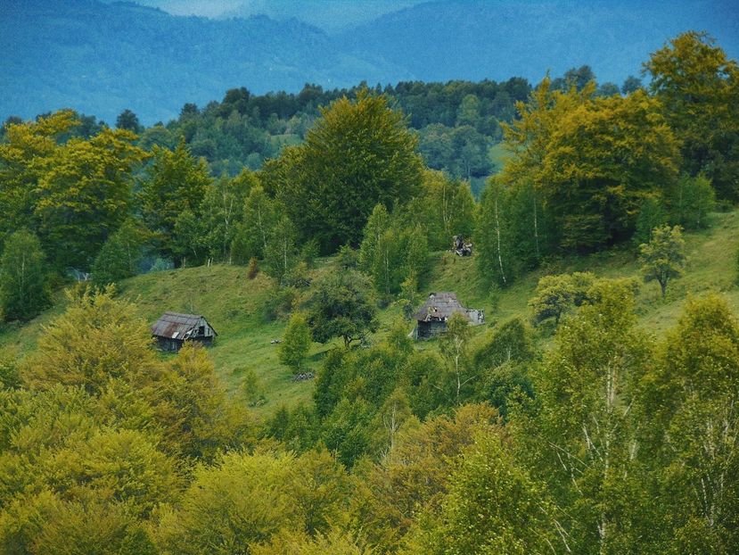  - Photo 03