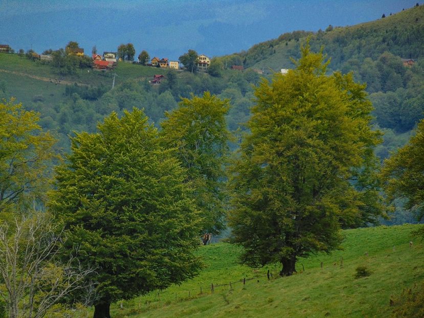  - Photo 03