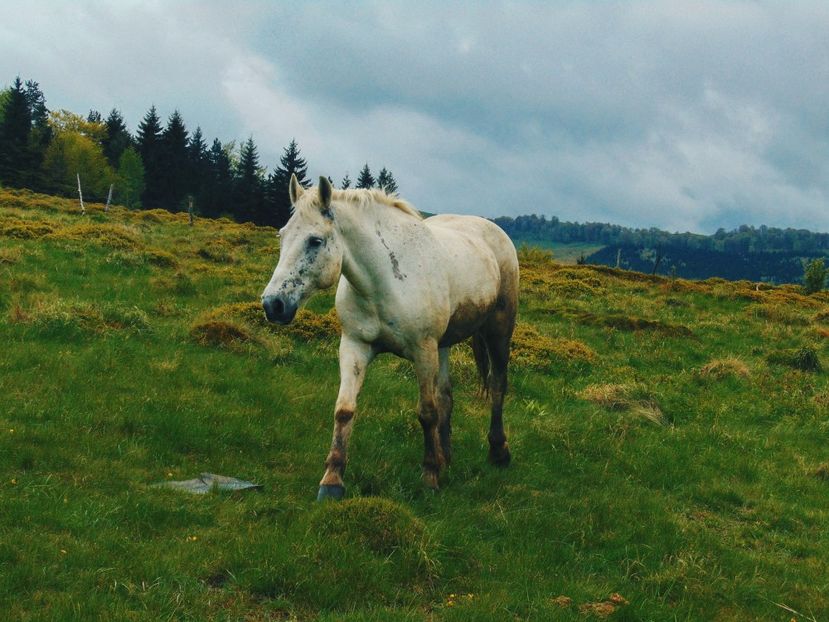  - Photo 03