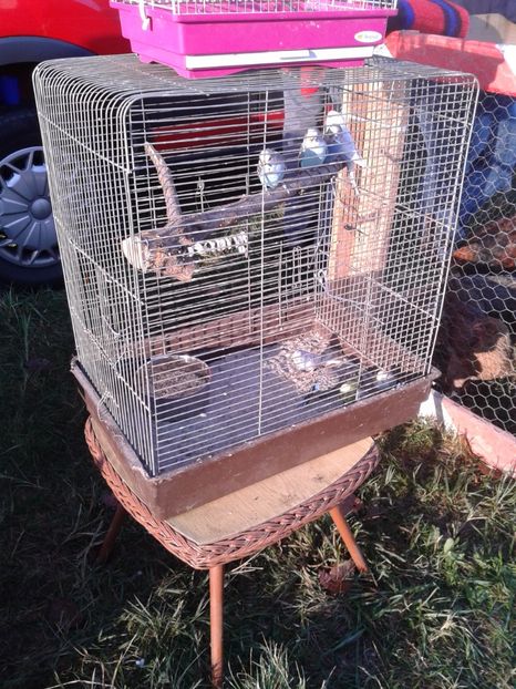 Fotografie0066 - 23---targ monor 10 09 2017